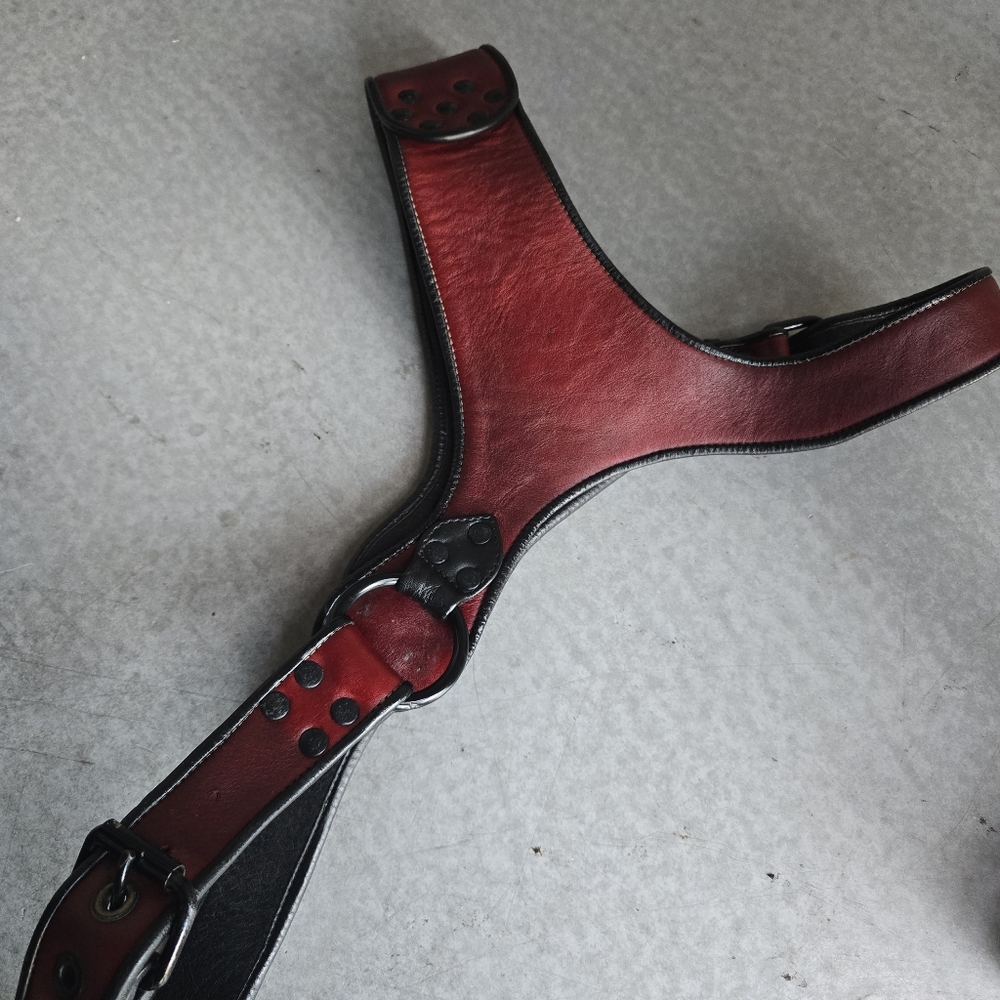 ROUGH TRADE Red Leather Harness - Picture 8 of 12